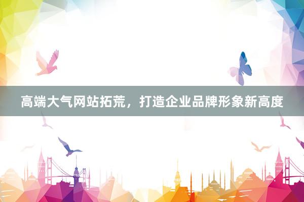 高端大气网站拓荒，打造企业品牌形象新高度