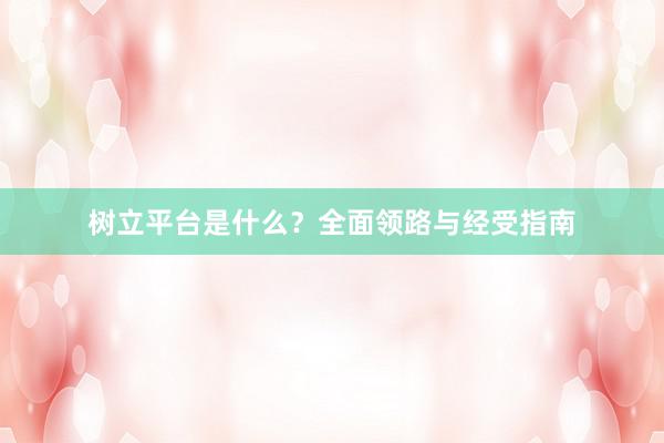 树立平台是什么？全面领路与经受指南