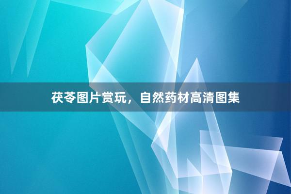 茯苓图片赏玩，自然药材高清图集